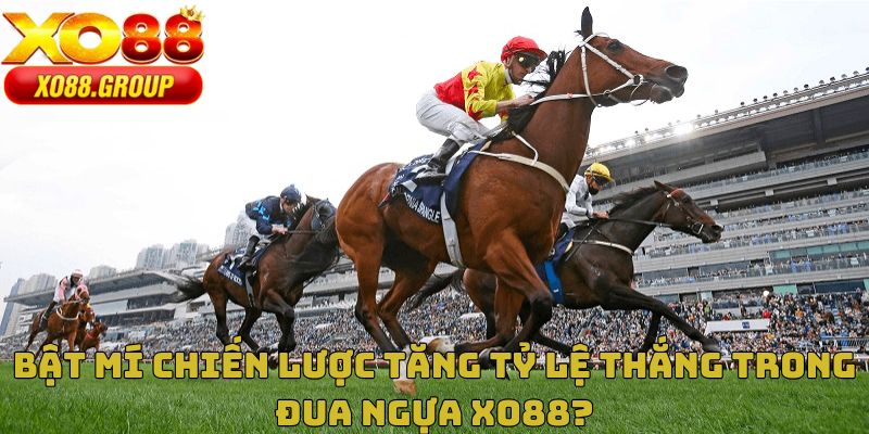 Bật mí chiến lược tăng tỷ lệ thắng trong đua ngựa XO88