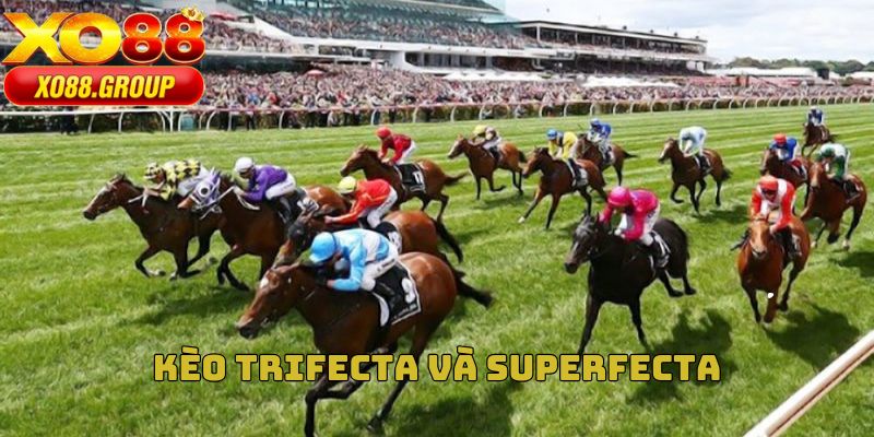 Kèo Trifecta và superfecta
