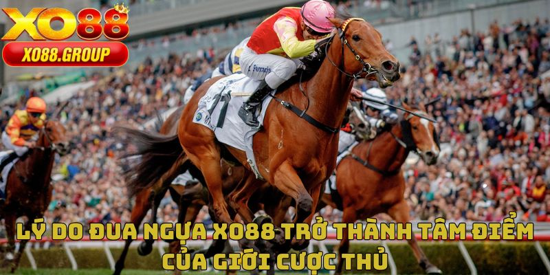 Lý do đua ngựa XO88 trở thành tâm điểm của giới cược thủ