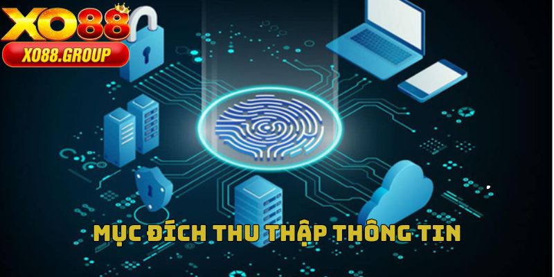 Nhà cái nêu rõ về mục đích thu thập thông tin